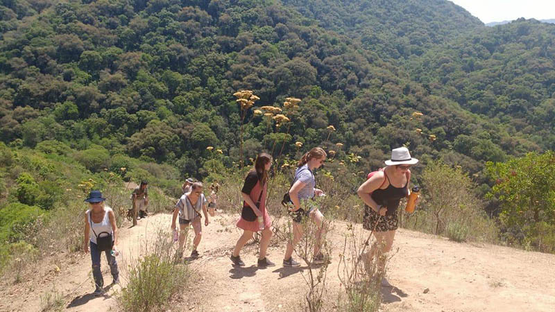 Spanish Studies Abroad students hiking in Northwest Argentina