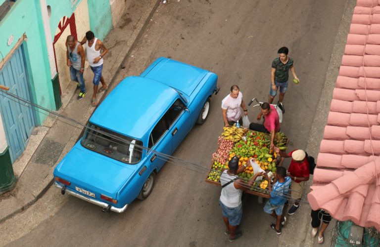Local Fruit Vendor