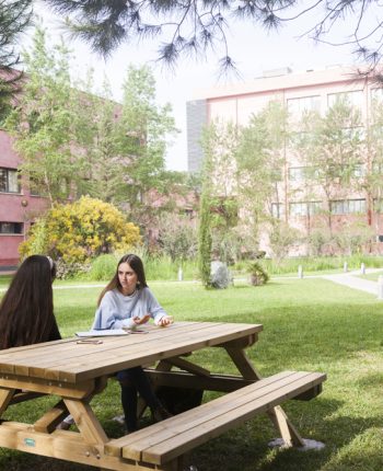 Integrated Coursework at Universidad Pablo de Olavide